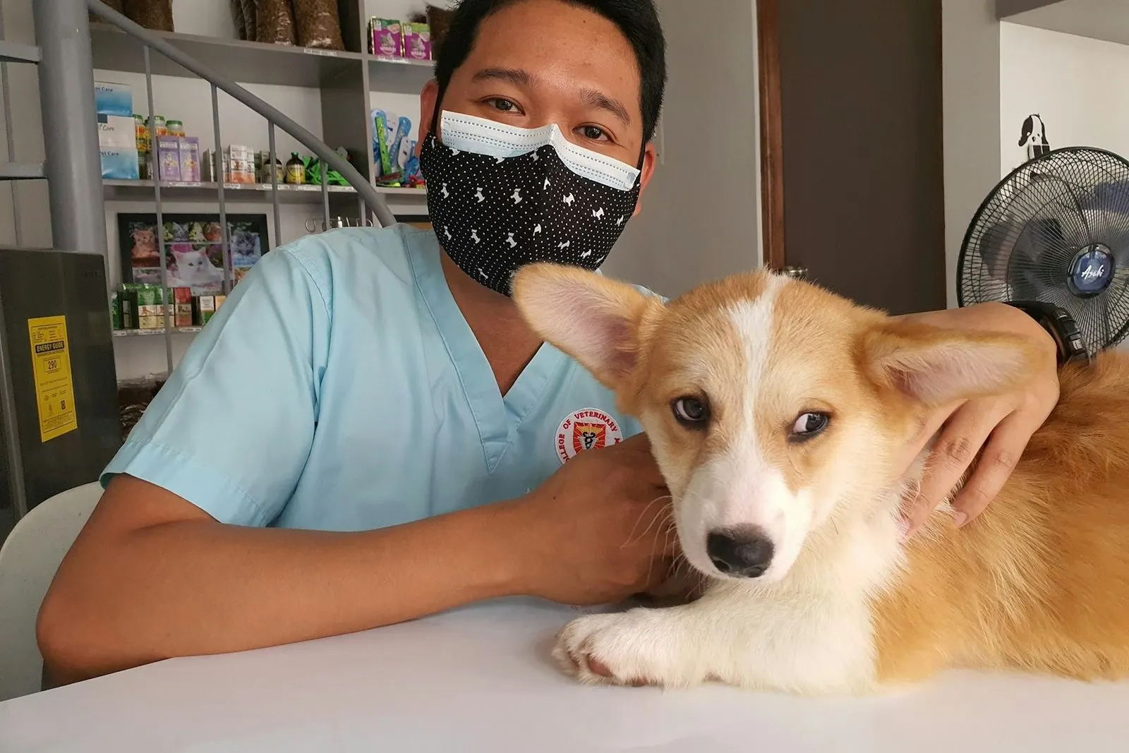 Veterinario junto a un perro sobre la mesa de consulta