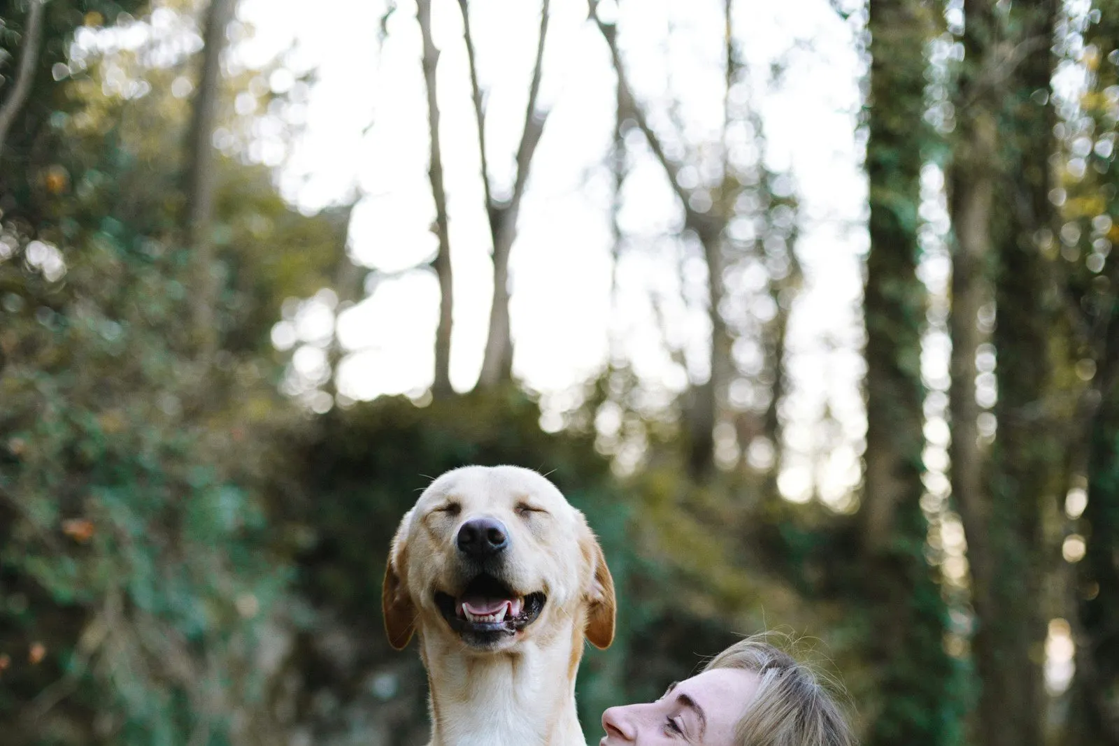 Mujer jugando con su perro al aire libre